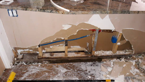 Best Professional water damage repair  in Granite Hills, CA